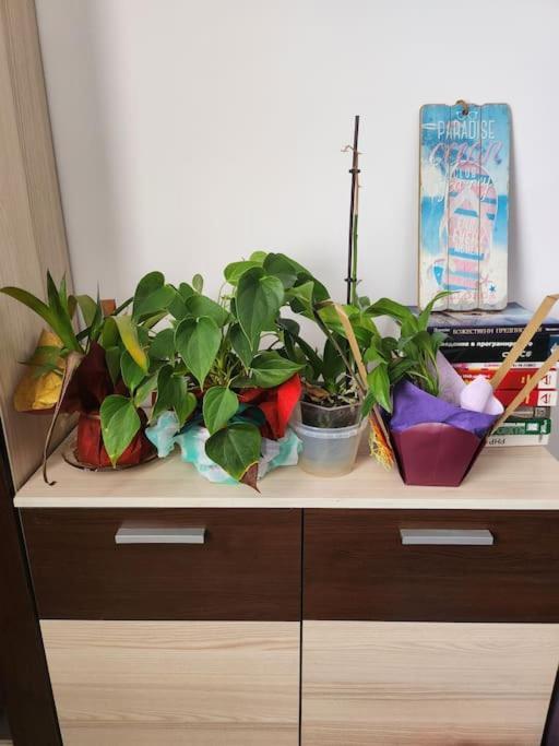 Modern Apartment. Best Location 索菲亞 外观 照片
